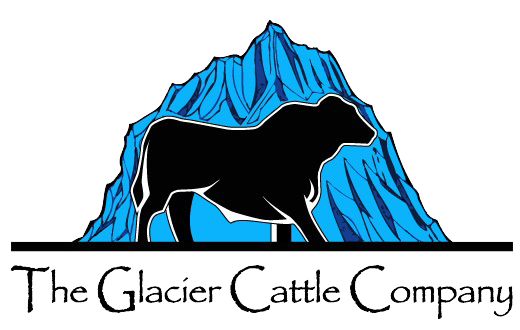 gcc-logo